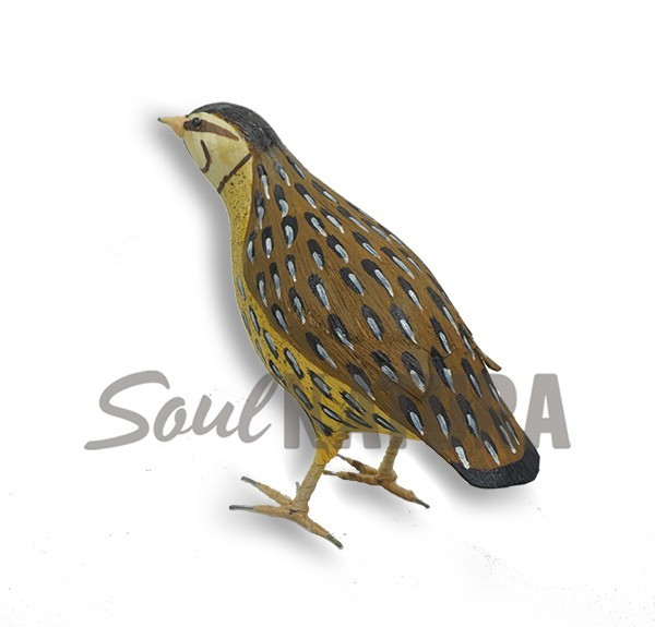 Replica codorniz tamaño real - Imagen 2