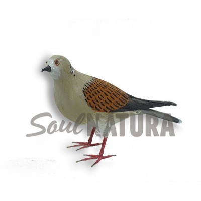 TÓRTOLA EUROPEA Pájaro de PITA - Imagen 2