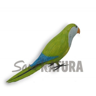 REPLICA DE UNA COTORRA ARGENTINA  - Imagen 2