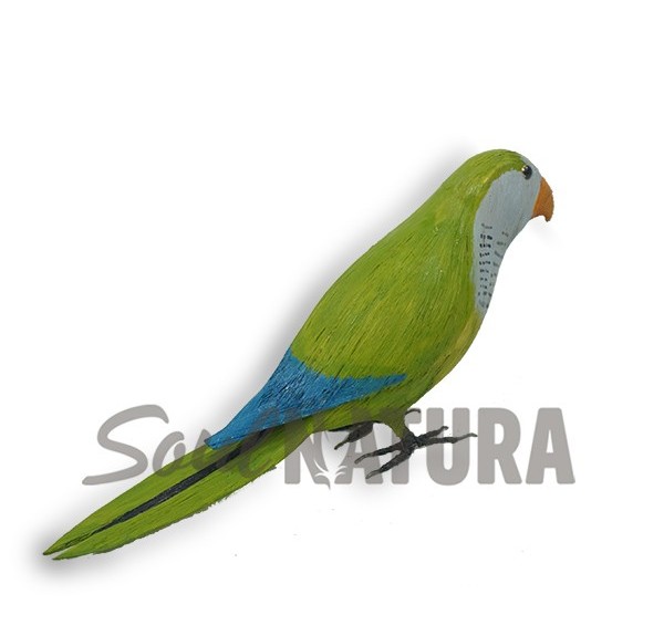 REPLICA DE UNA COTORRA ARGENTINA  - Imagen 2