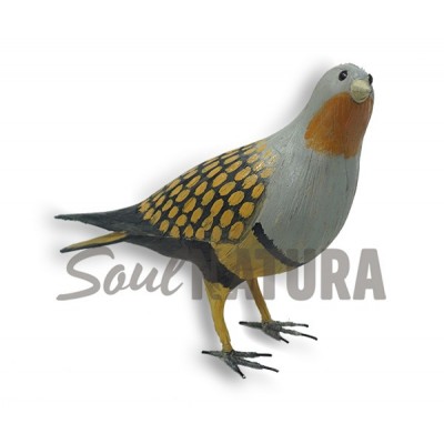 GANGA ORTEGA-Pájaro de PITA - Imagen 1