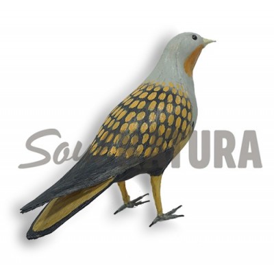 GANGA ORTEGA-Pájaro de PITA - Imagen 2