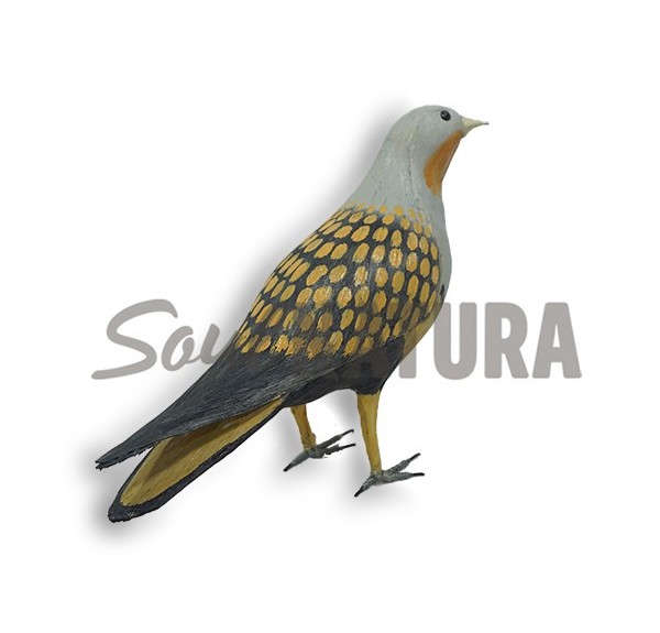 GANGA ORTEGA-Pájaro de PITA - Imagen 2