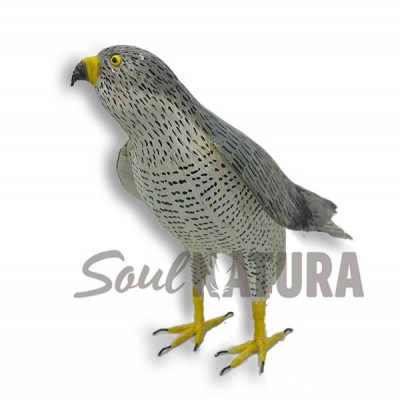 GAVILAN PAJARO DE PITA - Imagen 2