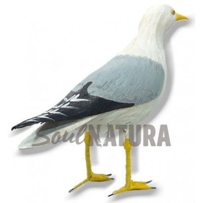 GAVIOTA PATIAMARILLA REPLICA - Imagen 2