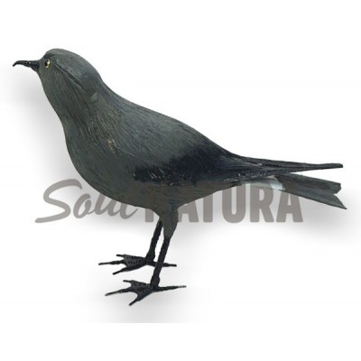 REPLICA PAIÑO MADEIRA - Imagen 2