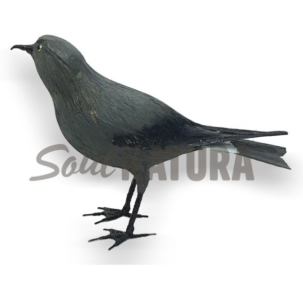 REPLICA PAIÑO MADEIRA - Imagen 2