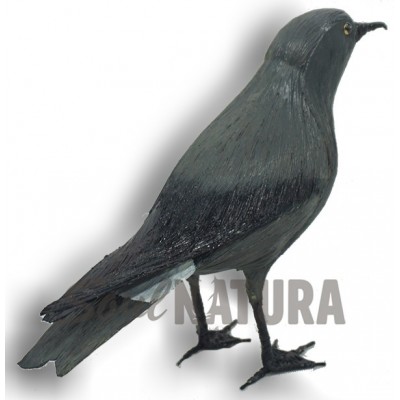 REPLICA PAIÑO MADEIRA - Imagen 3