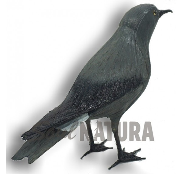 REPLICA PAIÑO MADEIRA - Imagen 3