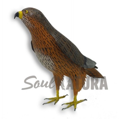 BUSARDO RATONERO Pájaro de PITA - Imagen 2