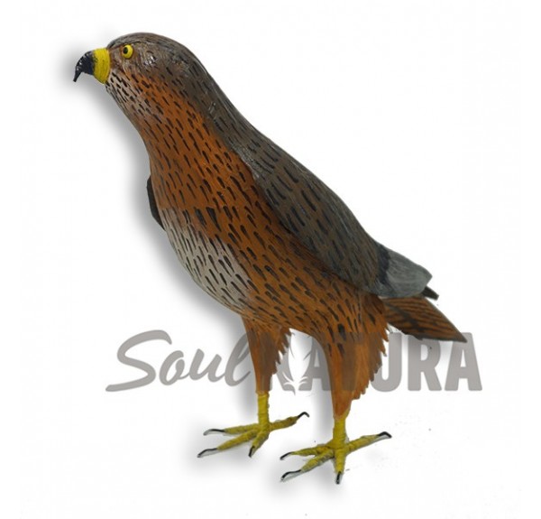 BUSARDO RATONERO Pájaro de PITA - Imagen 2