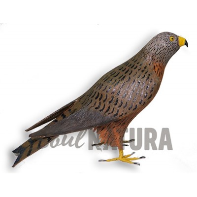 MILANO REAL PEQUEÑO (Milvus milvus) Pájaro de PITA - Imagen 1