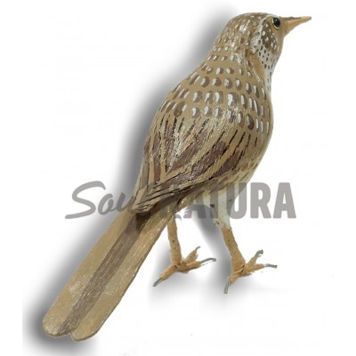 REPLICA-ALONDRA-RICOTI - Imagen 2