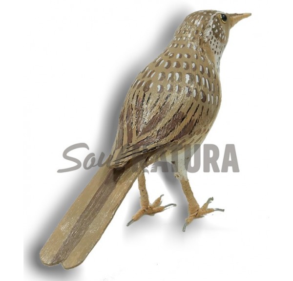 REPLICA-ALONDRA-RICOTI - Imagen 2