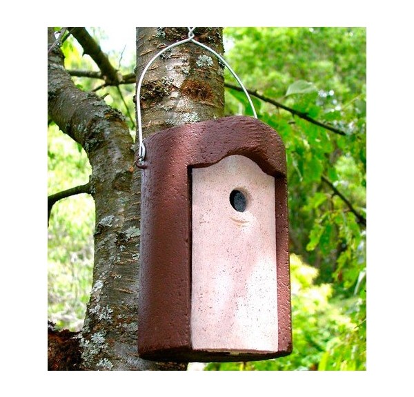 CAJA NIDO 1B PARA PARIDOS - Imagen 2