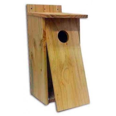 CAJA NIDO AUTILLO EN MADERA TRATADA - Imagen 2