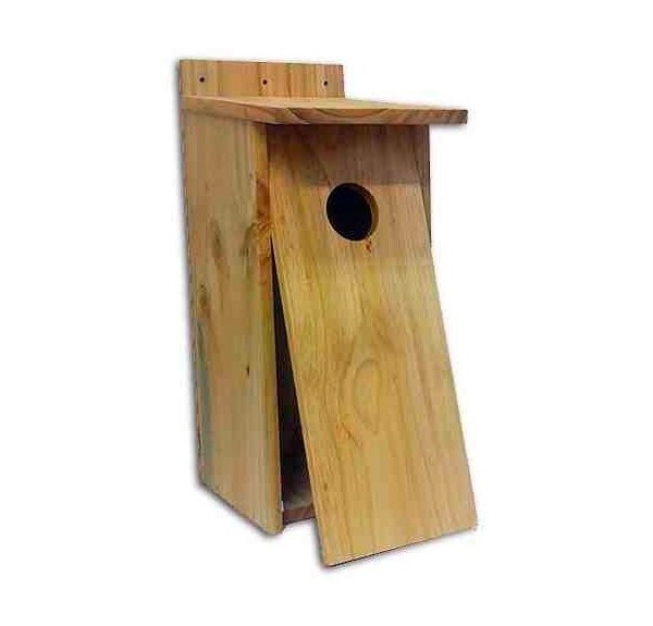 CAJA NIDO AUTILLO EN MADERA TRATADA - Imagen 2