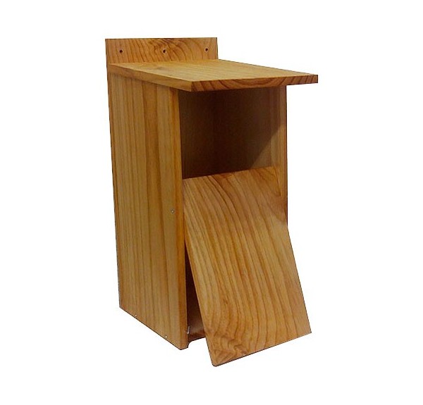 CAJA NIDO CARABO - Imagen 2