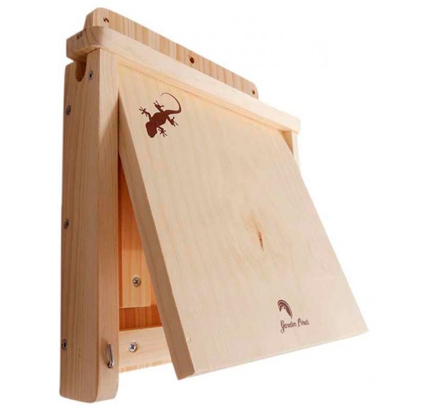 REFUGIO PARA SALAMANQUESAS - Imagen 2