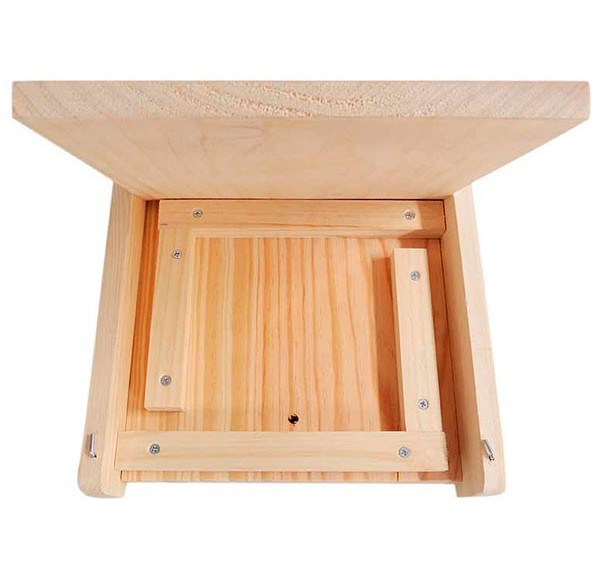 REFUGIO PARA SALAMANQUESAS - Imagen 3