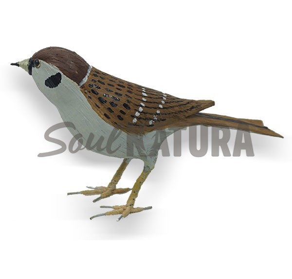 GORRIÓN MOLINERO Replica - Imagen 2