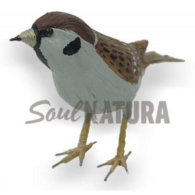 GORRIÓN MOLINERO Replica - Imagen 3