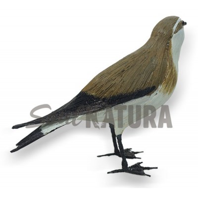 PAÍÑO PECHIALBO (Pelagodroma marina) Pájaro de PITA - Imagen 2