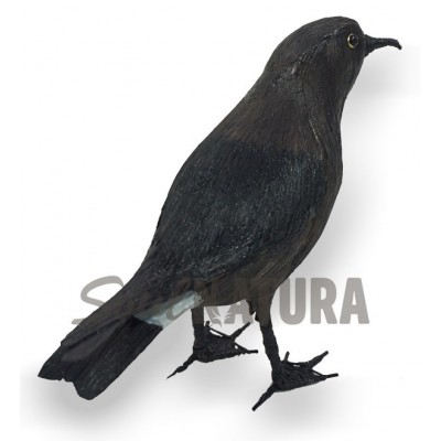 REPLICA PAIÑO EUROPEO - Imagen 2