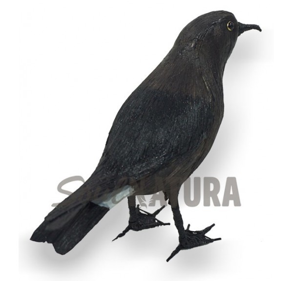 REPLICA PAIÑO EUROPEO - Imagen 2