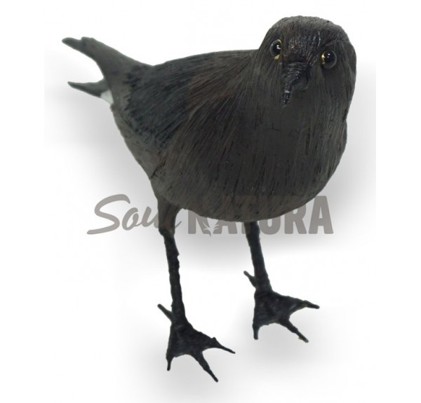 REPLICA PAIÑO EUROPEO - Imagen 3