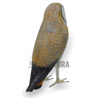 Lechuza comun o blanca regalo - Imagen 3