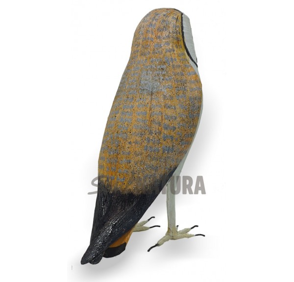 Lechuza comun o blanca regalo - Imagen 3