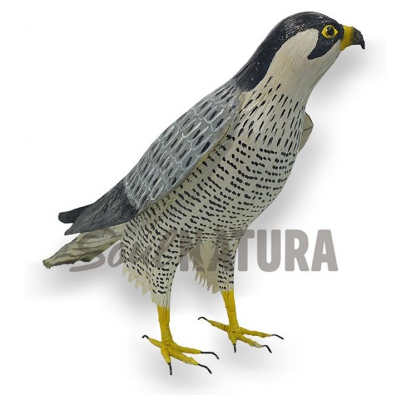 HALCON TAGAROTE - Imagen 1