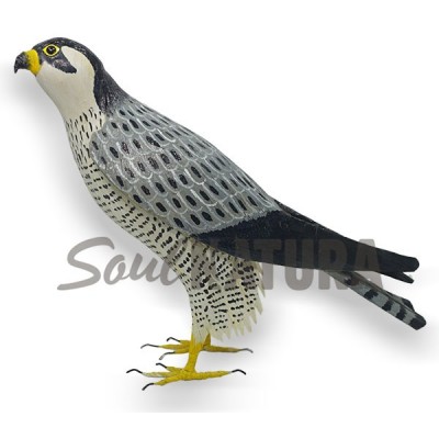 HALCON TAGAROTE - Imagen 2