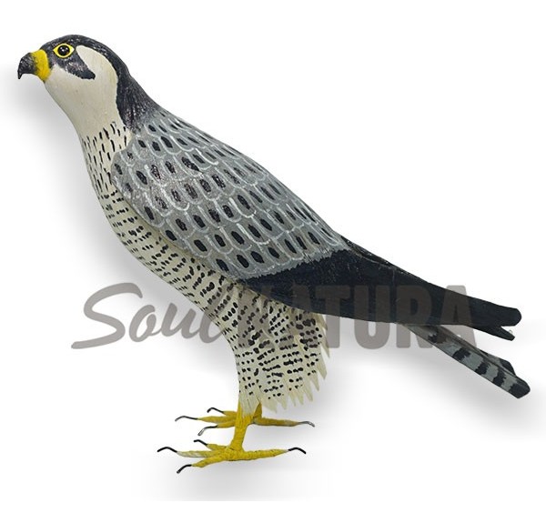 HALCON TAGAROTE - Imagen 2