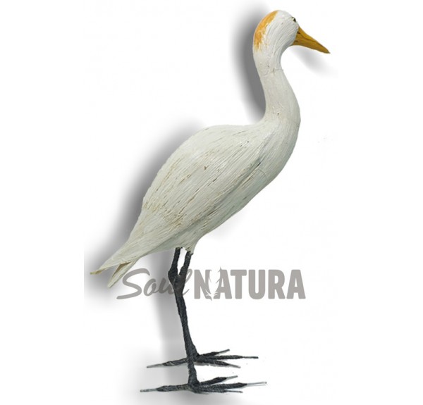 GARCILLA BUEYERA (Bubulcus ibis) Pájaro de PITA - Imagen 2