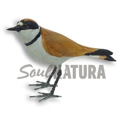 PAJARO CHORLITEJO PATINEGRO - Imagen 2