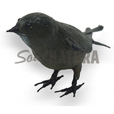 VENCEJO PÁLIDO  - Imagen 3