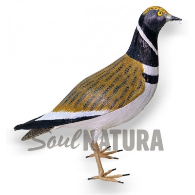 ▷ SISÓN MACHO (Tetrax tetrax) Pájaro de PITA | Soul Natura - Imagen 1