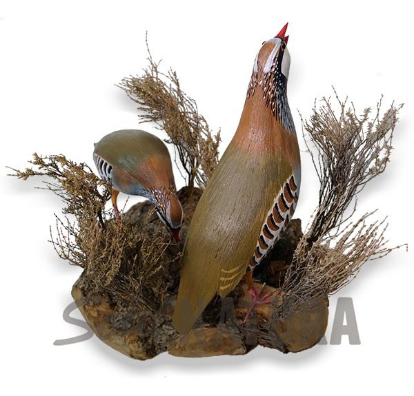 ▷ RECLAMO PAREJA DE PERDICES Pájaro de PITA | Soul Natura - Imagen 2