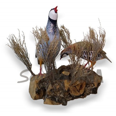 ▷ RECLAMO PAREJA DE PERDICES Pájaro de PITA | Soul Natura - Imagen 4