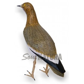 SISÓN HEMBRA (Tetrax tetrax) Pájaro de PITA - Imagen 2