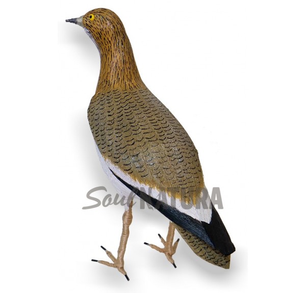 ▷ SISÓN HEMBRA (Tetrax tetrax) Pájaro de PITA | Soul Natura - Imagen 1