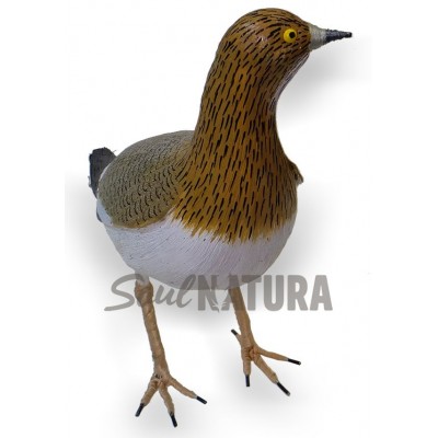 ▷ SISÓN HEMBRA (Tetrax tetrax) Pájaro de PITA | Soul Natura - Imagen 2