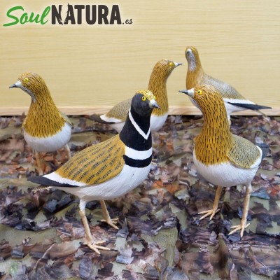 ▷ SISÓN MACHO (Tetrax tetrax) Pájaro de PITA | Soul Natura - Imagen 3