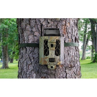 ▷ CAJA DE SEGURIDAD SPYPOINT CÁMARA 42 LEDS | Soul Natura - Imagen 2