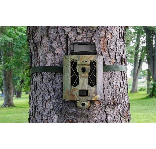 ▷ CAJA DE SEGURIDAD SPYPOINT CÁMARA 42 LEDS | Soul Natura - Imagen 2