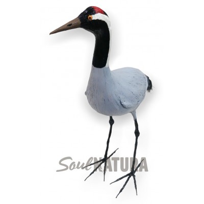 Replica Grus Grus a escala - Imagen 2