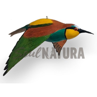 ABEJARUCO EN VUELO (PÁJARO DE PITA) - Imagen 2