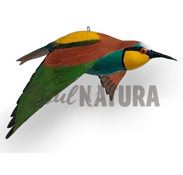 ABEJARUCO EN VUELO (PÁJARO DE PITA) - Imagen 2